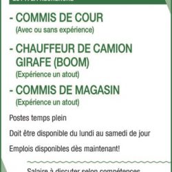 BMR Quincaillerie et Matériaux B.G. Inc.