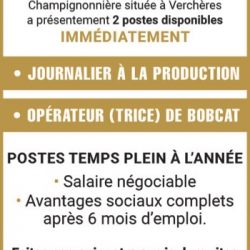 Champag Inc.