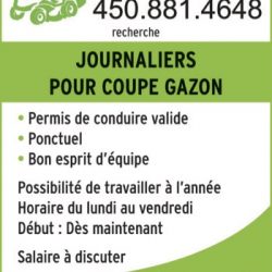 Gazons Oboute