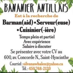 Bananier Antillais